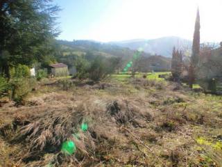 34390 Saint Vincent D'olargues