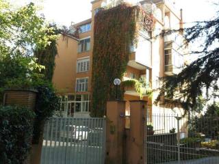 CAMILLUCCIA, BRIGHT APARTMENT