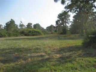 Land For Sale: 7110 225th E St..