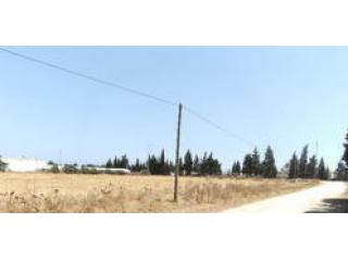 Constuctible land in Sahloul