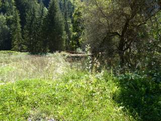 Land Montriond
