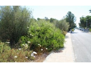 imperial properties santa ponsa - plot..