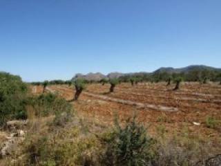 Crete Land
