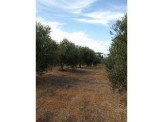 Crete Plot For Sale