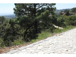 751031 - Plot For sale in Golf..