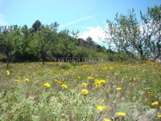 Plot In Benissa