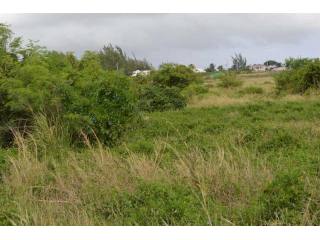 Property For Sale: Green Point Lot..