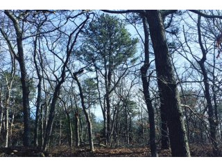 Land For Sale: 563 Old Jail Lane..