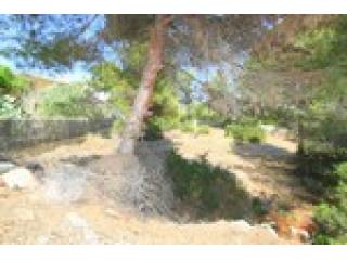 - Land - For Sale