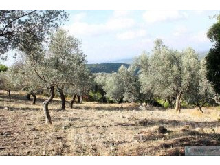 Β714 - FOR SALE LAND OF 100 ACRES