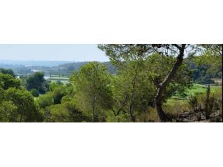 Plots for sale in Campoamor