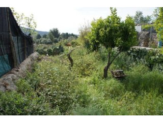 Urban building plot in Alaro