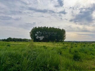 Zemljište 2087m² idealno za gradnju ili investiciju