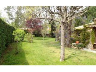 Bagnols En Foret French Riviera, Var..