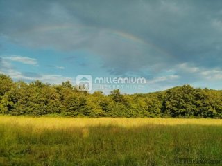 Istra, Labin, poljoprivredno zemljište od 24.999m2