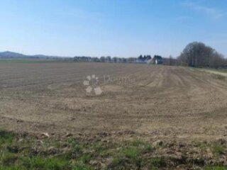 16.800m2 ili 931m2