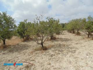 Agricultural Land in Mesa Chorio, Pafos