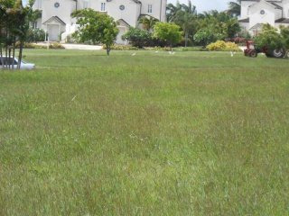 Property For Sale:Apes Hill Polo Field..