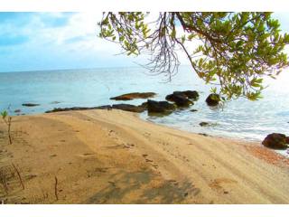 25 Acre Island For Sale 1 Mile Away..