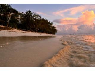 Hotel For Sale: Zanzibar sea front