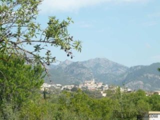 Rustic building plot of 14.314m2 in the county of Selva..
