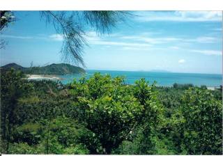 Koh Phangan 3 Rai plot of mountain land..