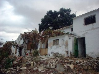 Hope In Loja?*
