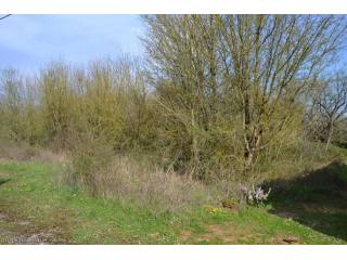 Village Building Plot