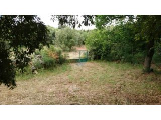 Istra,Vinkuran - Vikend parcela