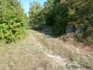REŽANCI, kombinirano zemljište od 26007 m2