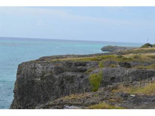 Property For Sale: Green Point, Turtle..
