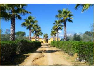 tipico Cortijo Finca Sevilla Andalucia..