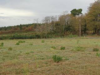 25276 - Vente - Terrain - Vergt