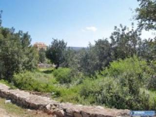 Huge Building Plot For Sale At Vamos..