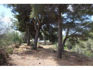 Plot in Benissa