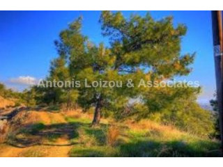 20,250m2 Land in Kapedes