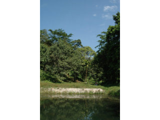 Large 33 Rai Sea View Land in a..