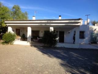 Large Finca Crevillente