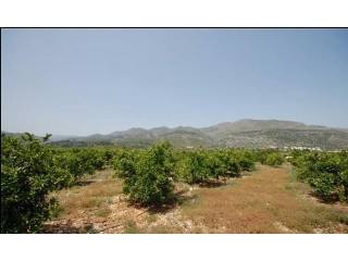 Plot For Sale Orba - Ref: 1621