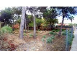 - Land - For Sale
