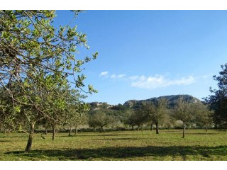 Nice plot with view to the landscape..
