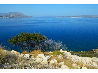 DCP-226 Plaka Plot - € 300,000