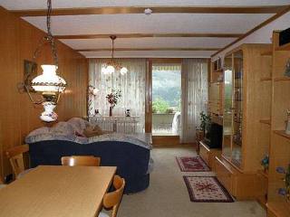 Holiday apartment with swimming pool in..