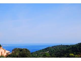 Plot with sea views