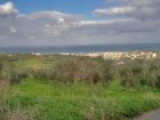 Development Plot For Sale Close To..