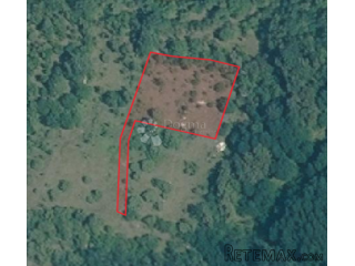 Poljoprivredno zemljište 1315m2