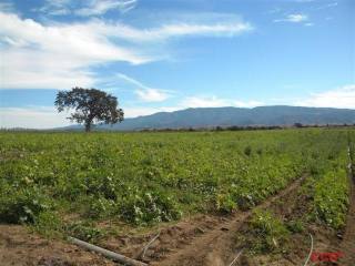 Land For Sale: 0 Roblar Ave, Santa Ynez