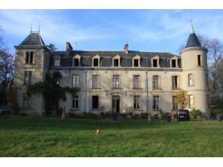 11 bedroom Castle For Sale: 03350..