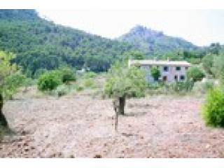 3 Bedrooms - Finca - For Sale