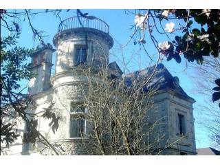 8 bedroom Castle For Sale: 85200 VENDEE